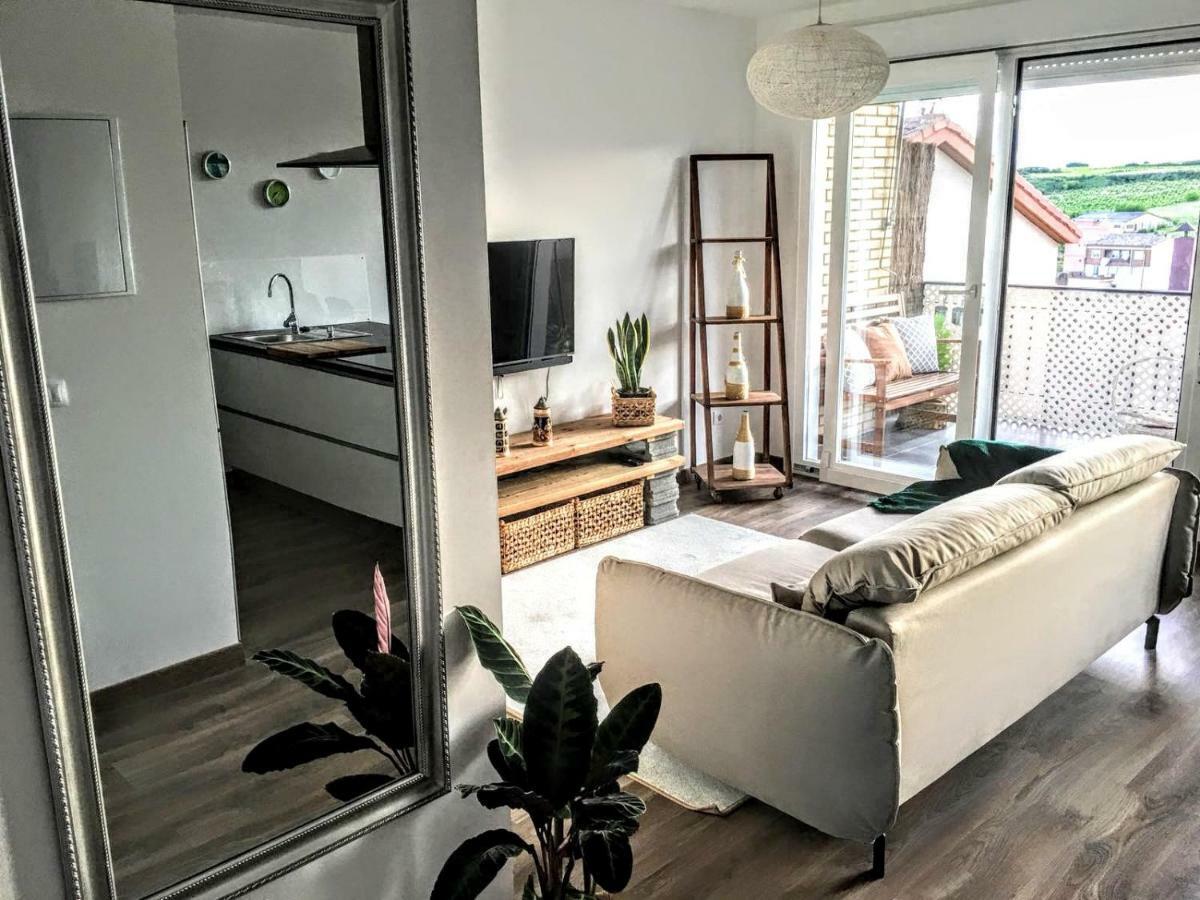 Apartamento Gaztainondoak Lanciego Zewnętrze zdjęcie